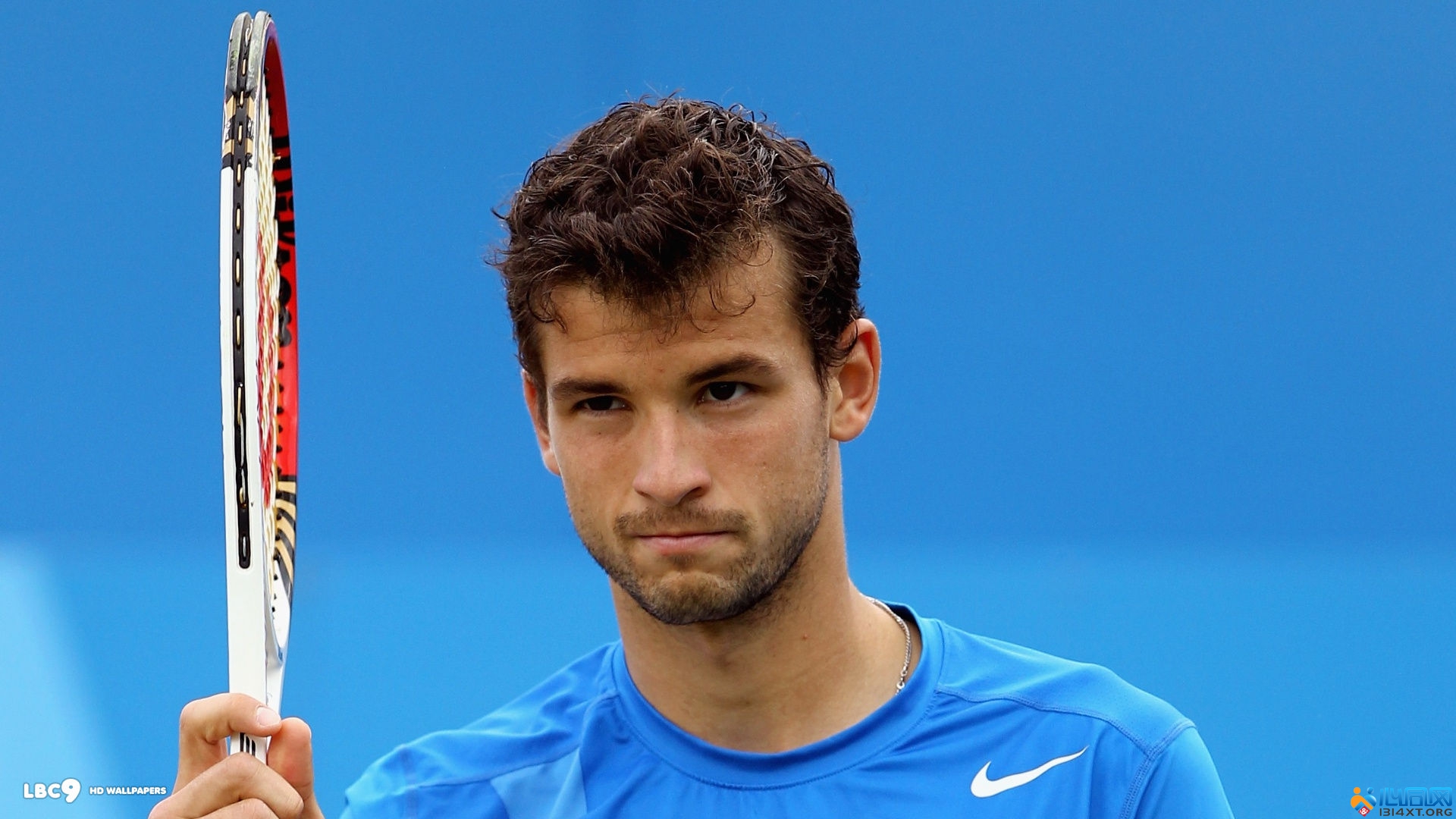 转会资金的 转会资金的