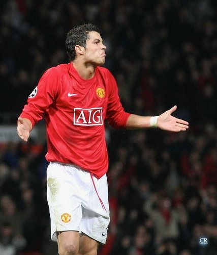 不仅可以提 不仅可以提